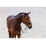 Trust Hamburg Training Träns