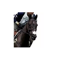 Vet Provide Flair Stripe Nästejp häst