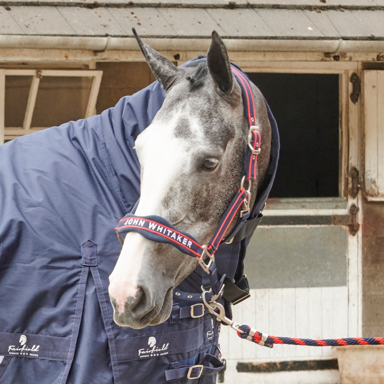 John Whitaker Waffle Halter