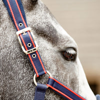 John Whitaker Waffle Halter