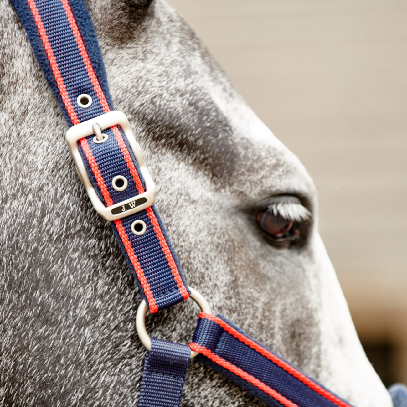 John Whitaker Waffle Halter
