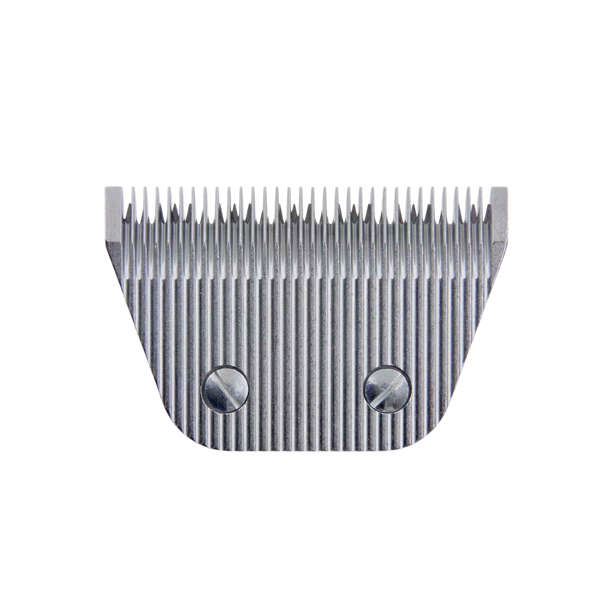 Wahl/Lister Klippskär till Avalon 1290