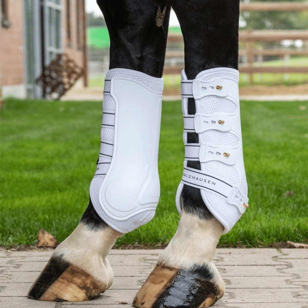 Waldhausen Breath Benskydd