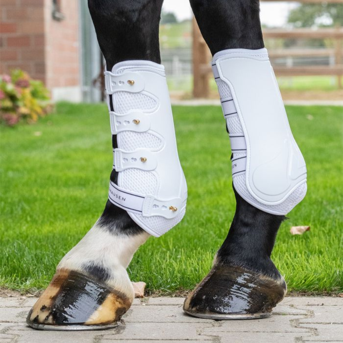 Waldhausen Breath Benskydd