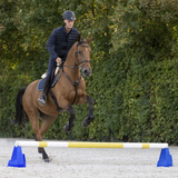 Waldhausen Cavalettiblock