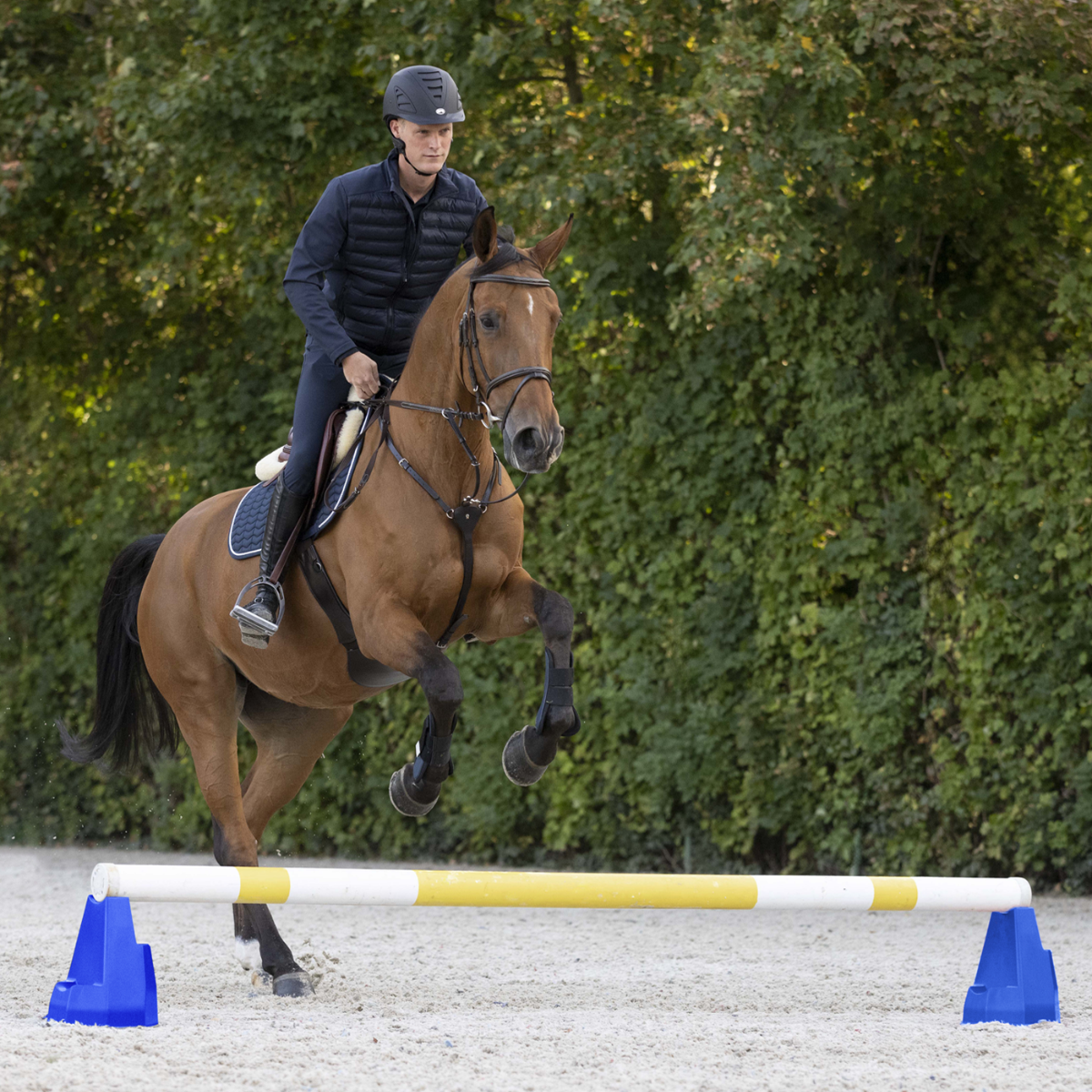 Waldhausen Cavalettiblock