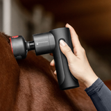 Waldhausen Health + Care Massage Pro