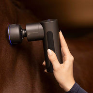 Waldhausen Health + Care Massage Pro