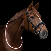 Waldhausen LED-light Reflex Halsring