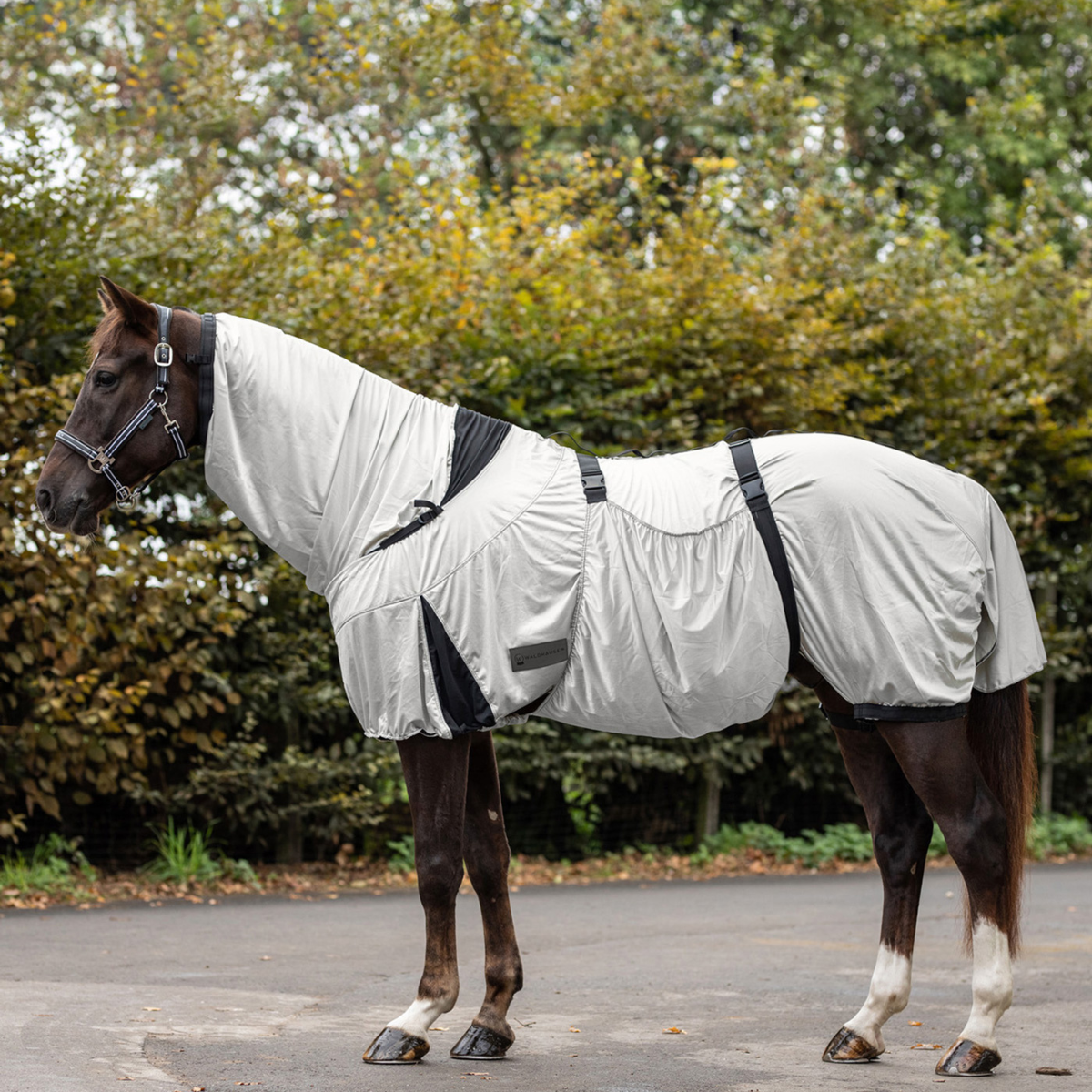 Waldhausen Premium Eksemtäcke