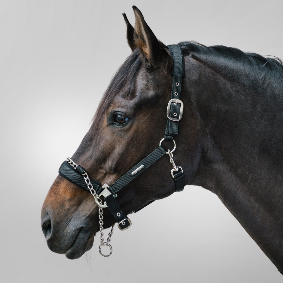 Waldhausen Pro Saftey Grimma