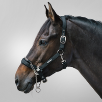 Waldhausen Pro Saftey Grimma