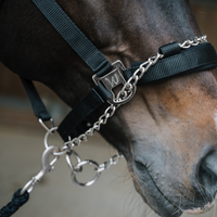 Waldhausen Pro Saftey Grimma