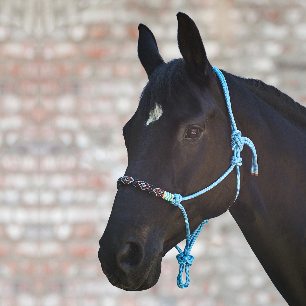 Waldhausen Repgrimma med pärlor