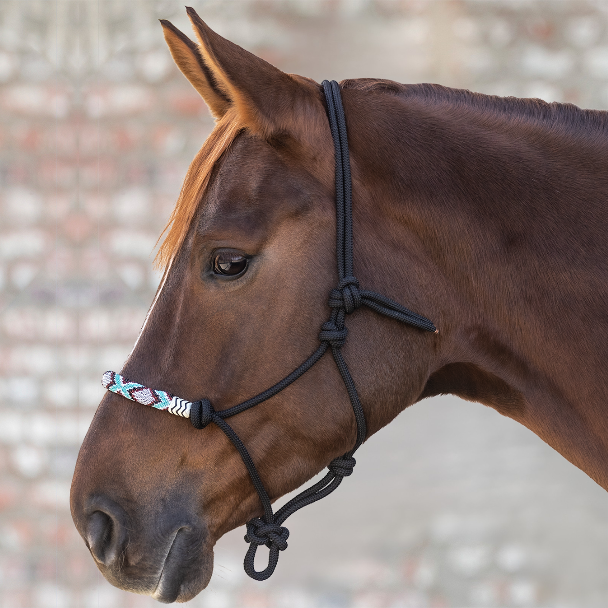Waldhausen Repgrimma med pärlor