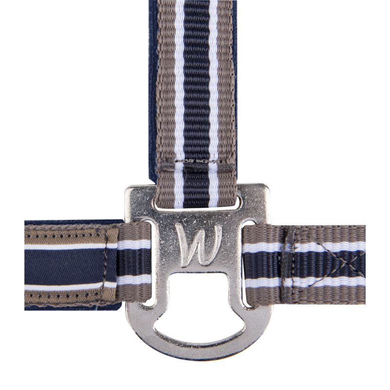 Waldhausen Athletic Grimma