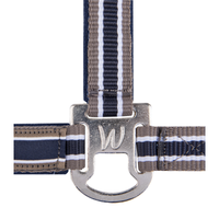 Waldhausen Athletic Grimma