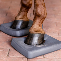 Waldhausen Health + Care Balanskuddar