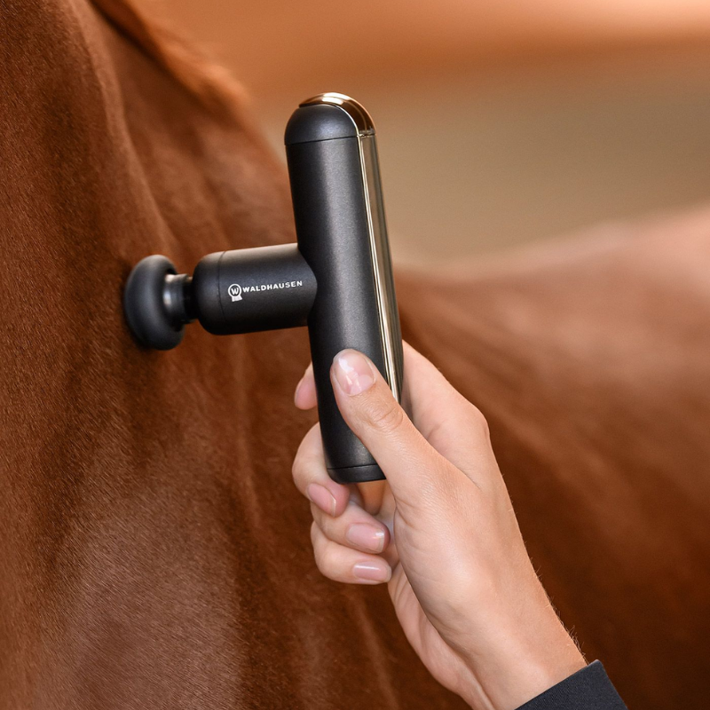 Waldhausen Health + Care PocketRelax massage device