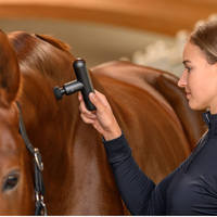 Waldhausen Health + Care PocketRelax massage device
