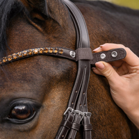 Waldhausen Pannband X-Line Shine