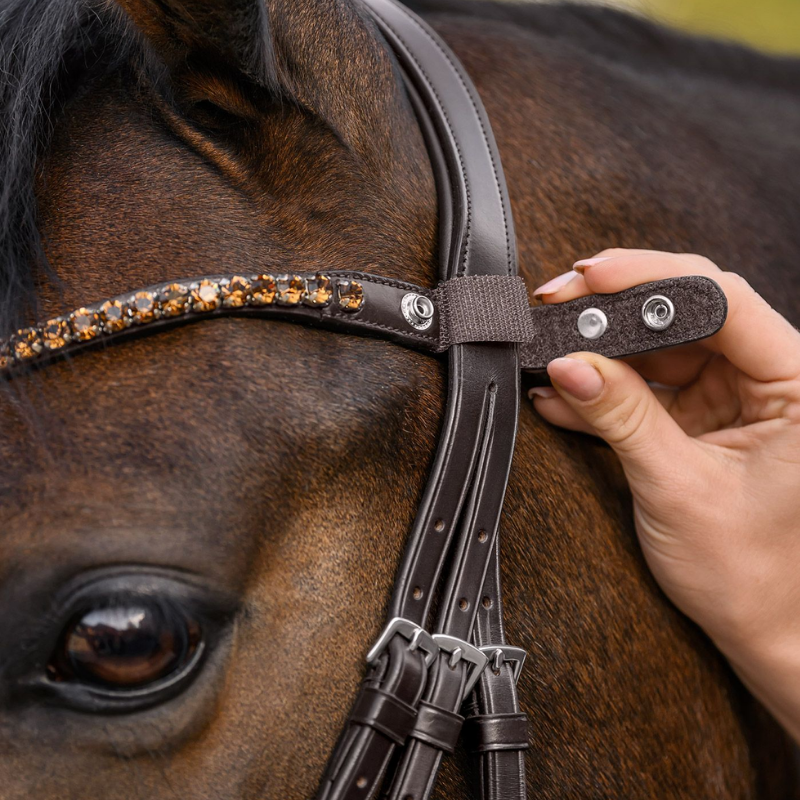 Waldhausen Pannband X-Line Shine
