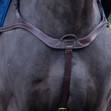 Dyon DY Anatomical chest harness 5-point