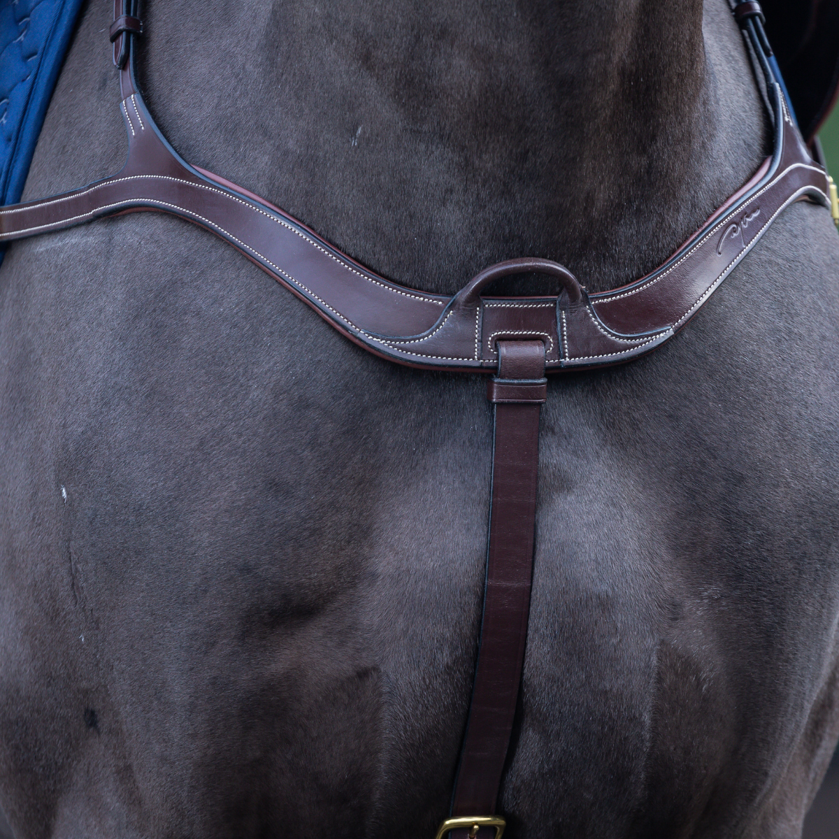 Dyon DY Anatomical chest harness 5-point