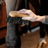 Grooming Deluxe Middle hard brush