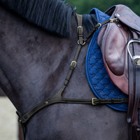 Dyon DY Anatomical chest harness 5-point