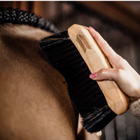 Grooming Deluxe Body Brush medium hard