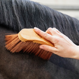 Grooming Deluxe Middle brush medium