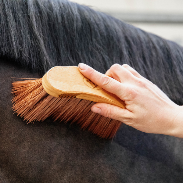 Grooming Deluxe Middle brush medium