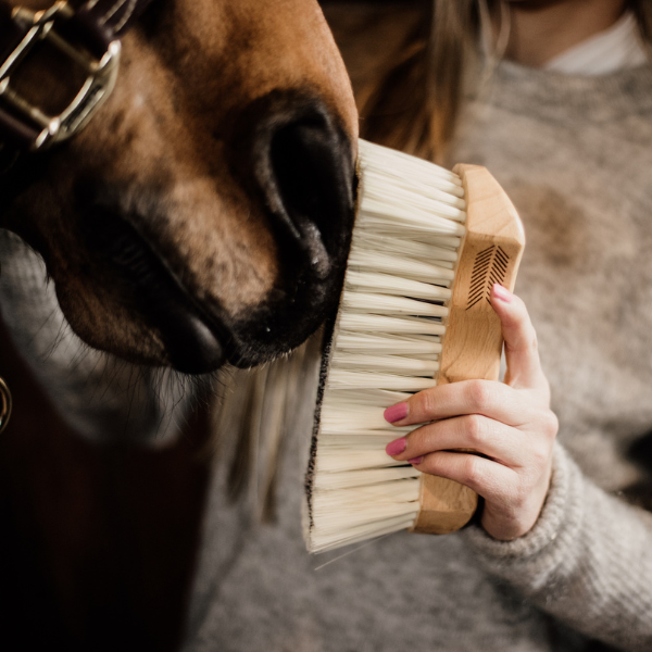 Grooming Deluxe Body Brush medium soft