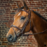 Dyon DY Träns komb.nosgrimma