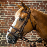 Dyon DY Träns double nosgrimma