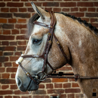 Dyon DY Träns mexikansk nosgrimma