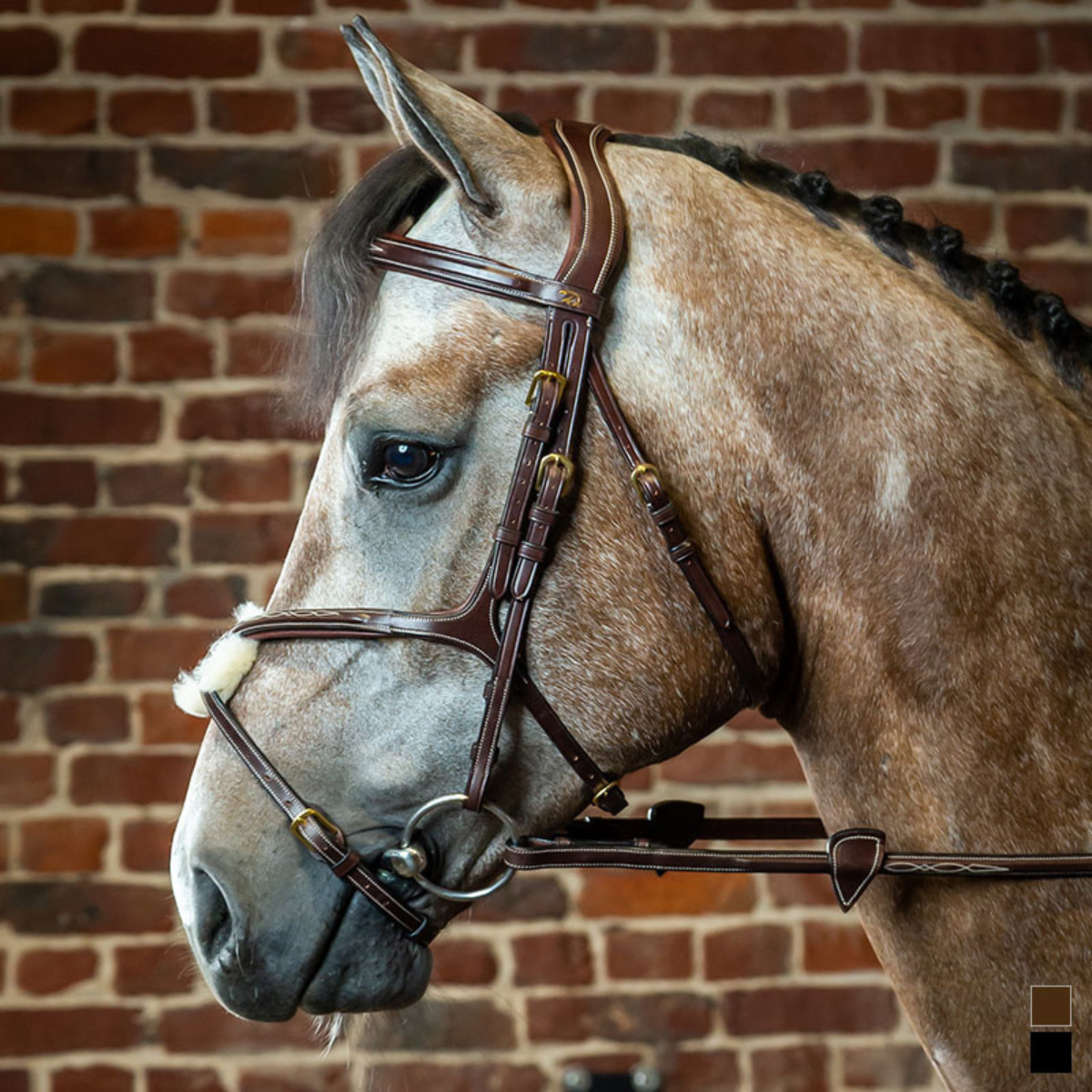 Dyon DY Träns mexikansk nosgrimma