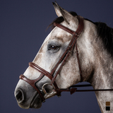 Dyon NE Träns double nosgrimma