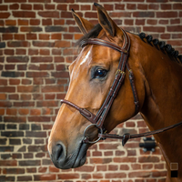 Dyon DY Träns läderklädd repnosgrimma