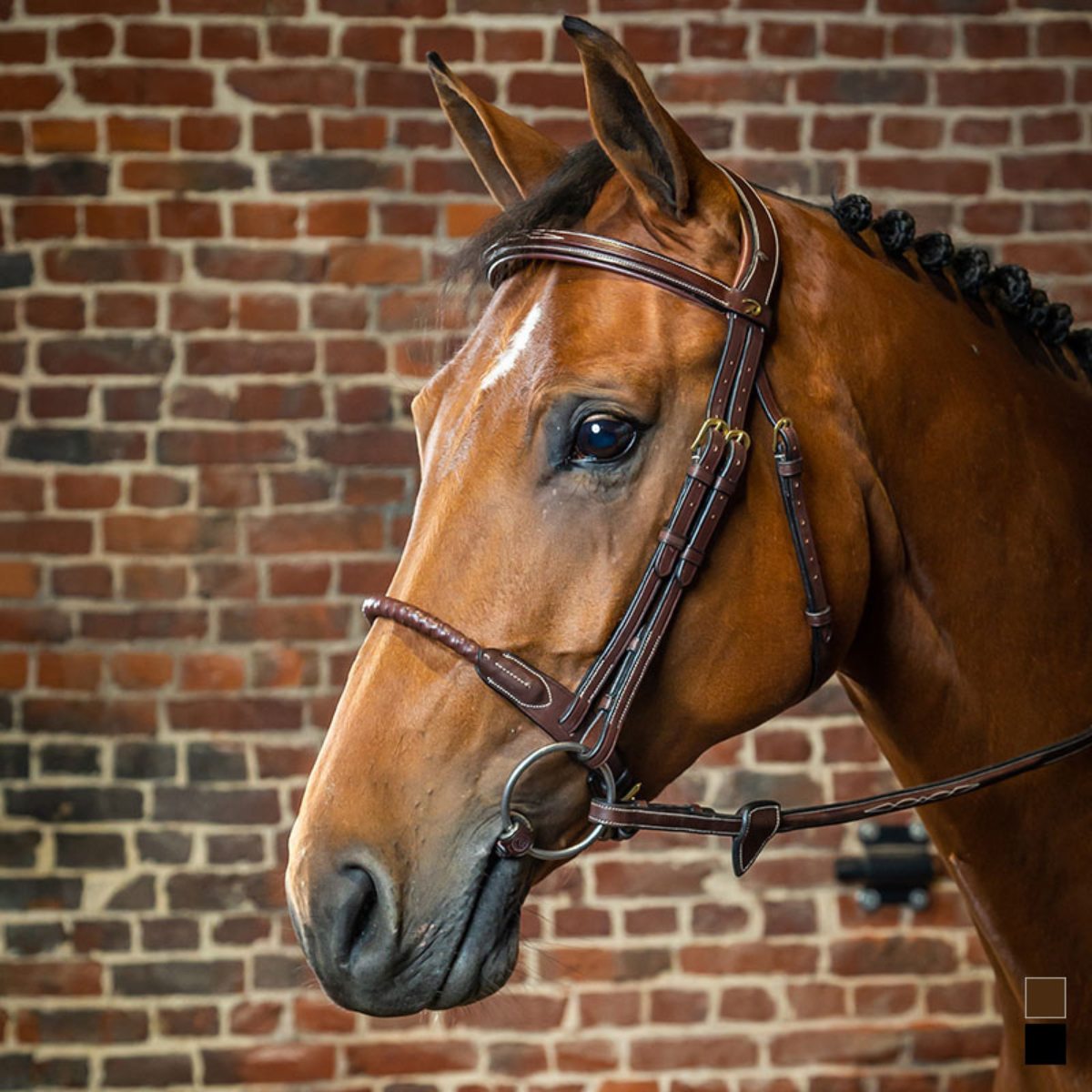 Dyon DY Träns läderklädd repnosgrimma