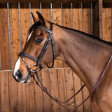 Dyon WO Träns komb.nosgrimma