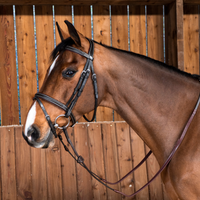 Dyon WO Träns komb.nosgrimma