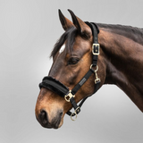 Waldhausen Exklusiv Grimma