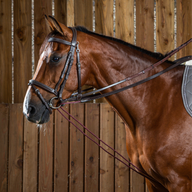 Dyon WO Gramant rein 16mm with rope + attachment