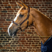 Dyon DY Leather halter with pattern stitch 2-in-1