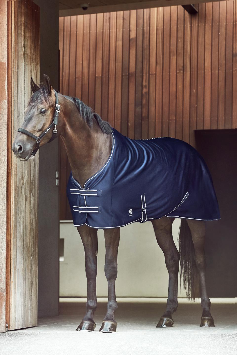 Horse Guard Cooler Blanket Jersey