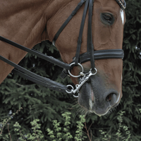 Sprenger KK Ultra bridle loose rings 3-piece