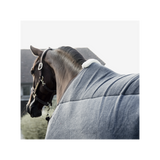 Kentucky Heavy fleece rug