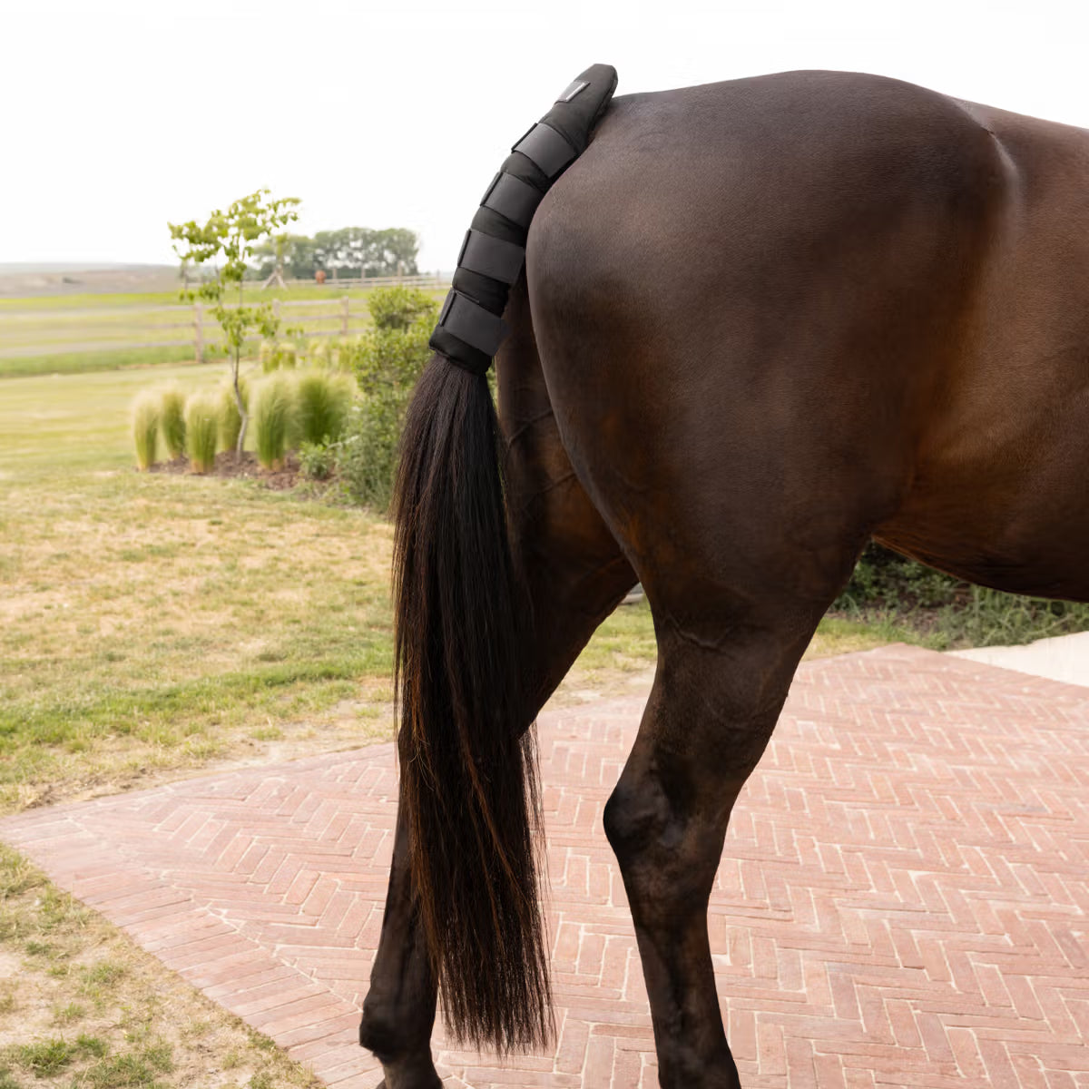 Kentucky Tailguard Pro svansskydd